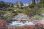 AGUA 02170 POSTERS 61x91 cm