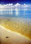 AGUA KC579 LAMINA 50x70 cm